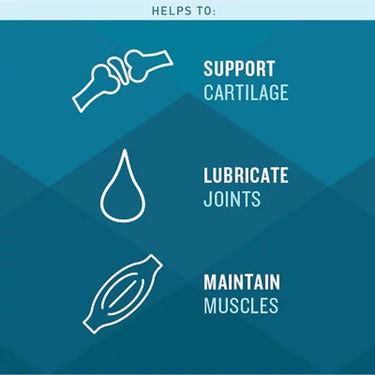 VETIQ Maximum Strength Hip & Joint Soft Dog Chews, Chicken Flavored, 180 Ct.